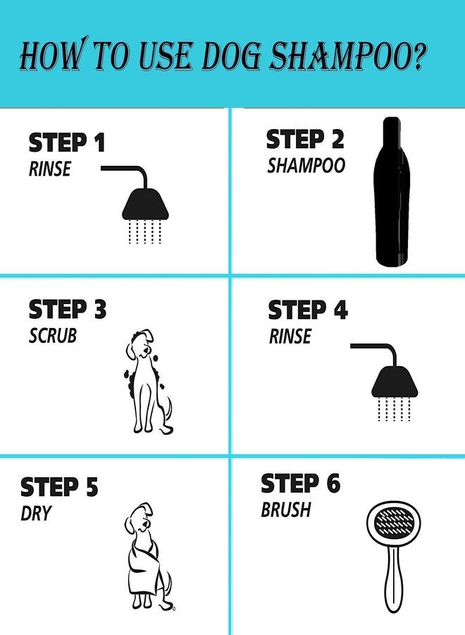 Petlicious & More Oh My Dog De-Tangling 1000 ml Shampoo for Dogs & Puppies (Pack of One) - Image 3